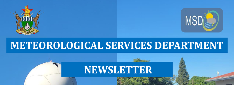 MSD Newsletter Header Image