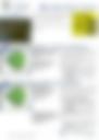Daily Weather Forecasting 26 October 2026